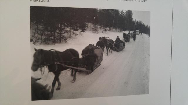 1930년대 썰매로 보급품을 수송하는 핀란드군.