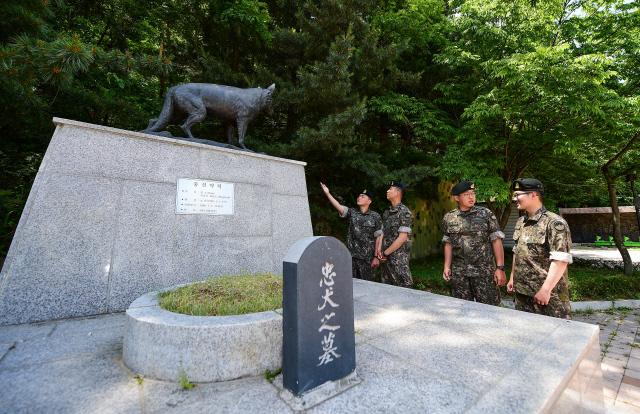 제4땅굴을 찾은 장병들이 땅굴 입구를 쏘아보고 있는 충견 헌트상을 살펴보고 있다. 