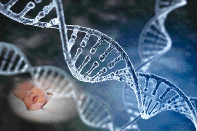  2018년은 유전자를 편집한 아기가 출생한 해로 기록됐다. 지난 11월 말 중국에서 유전자 가위 기술로 배아  속 유전자를 교체한 쌍둥이 아기들의  모험적인 출산이 이뤄져 세계를 놀라게 했다.   