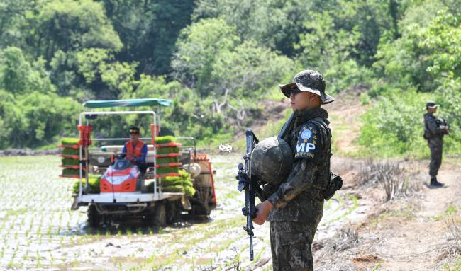 비무장지대(DMZ) 내 유일한 민간인 거주지인 경기도 파주시 대성동 마을에서 모내기가 한창인 가운데 22일 공동경비구역(JSA) 한국군 경비대대 민정중대 장병들이 모내기 현장 주변에서 경계작전을 펴고 있다.   파주=조용학 기자