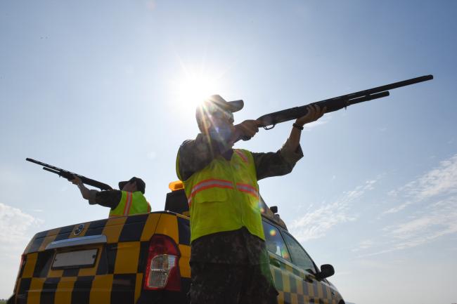 지난 23일 공군20전투비행단 운항중대 장병들이 기지 활주로 주변에서 공기총을 이용해 조류를 퇴치하고 있다.  사진 제공=김태우 병장