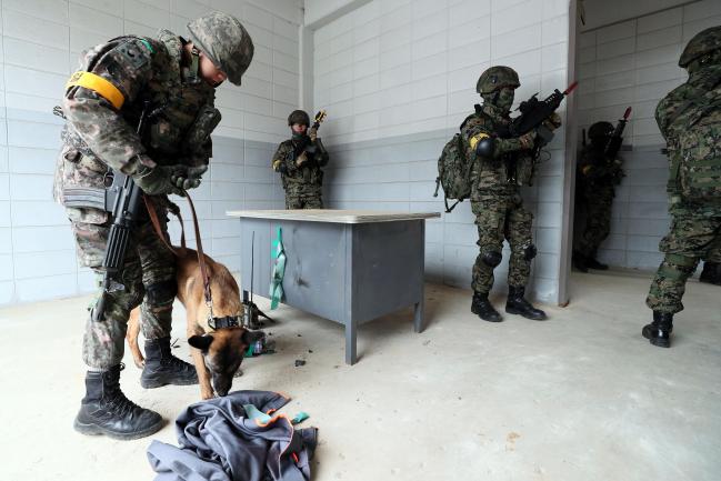 군견훈련소 탐지견이 폭발물 탐지작전을 벌이고 있다.  사진=한재호 기자