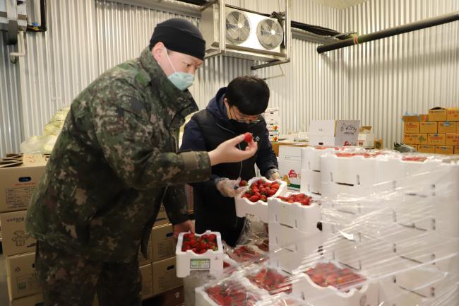 육군2작전사령부 추동욱(오른쪽) 군무주무관과 김범수 상병이 급식유통센터에 추가 구매된 딸기의 상태를 꼼꼼히 살펴보고 있다. 부대 제공