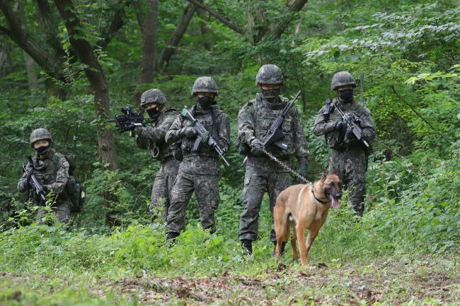 육군203특공여단 솔연대대 장병들이 작전지역 일대에서 전개한 무박 2일 독단 훈련에서 군견과 함께 수색·정찰을 하고 있다.  조종원 기자