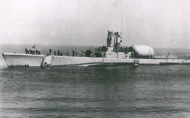 병력수송용 잠수함으로 개조된 후의 Perch(SSP 313) 함의 모습. 사진 = 위키피디아
