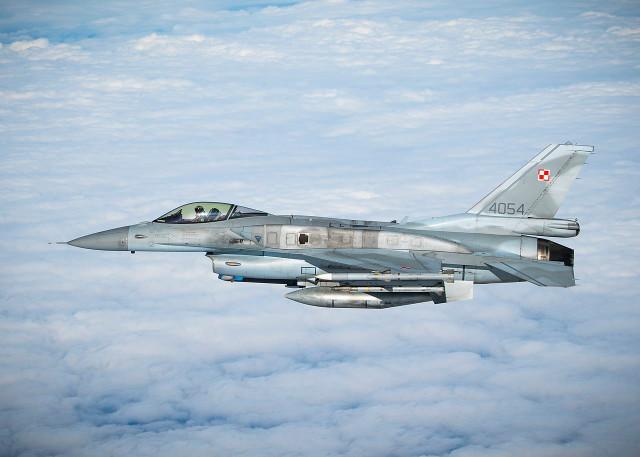 폴란드 공군이 운용하는 F-16C 파이팅팰콘. www.dvidshub.net
