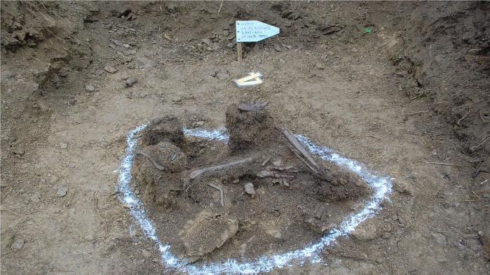 2011년 7월 19일 강원도 양구군 월운리 수리봉에서 발굴된 고 김봉학 일병 유해의 최초 식별 모습. 국방부 제공