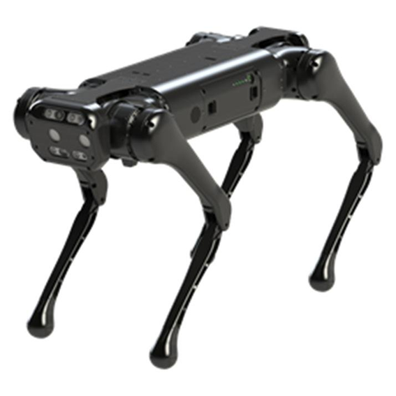 중국 니트리 로보틱스(Unitree Robotics)사(社)의  4족 보행 로봇 ‘에일리언고(AlienGo)’.  Unitree Robotics 제공