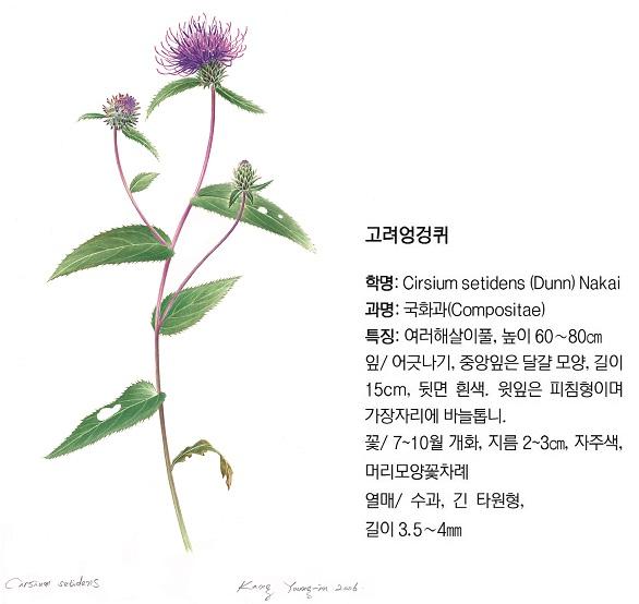 그림=이숭현 작가, 국립수목원 제공？