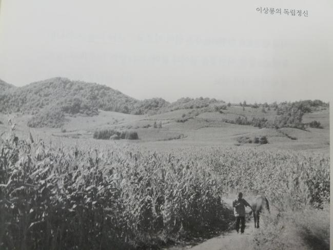 1940년대 신흥무관학교가 있던 삼원포의 모습. 이미 흔적마저 사라져버렸다.