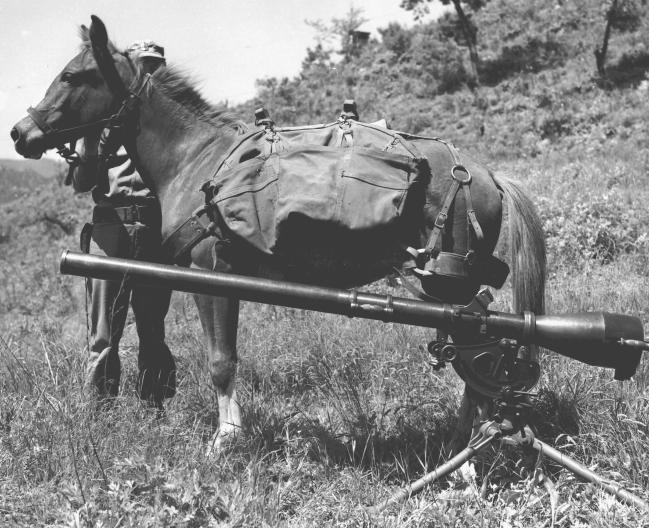 군마 레클레스와 75mm 무반동총. 출처 = www.usmc.mil