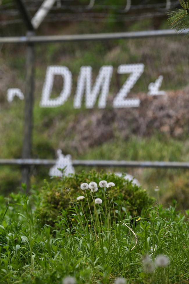 문화재청이 분단 이후 70여 년간 미지의 땅으로 남아있던 비무장지대(DMZ)에서 문화재 실태조사를 1년여간 추진한다. 사진은 경기도 파주 도라전망대 풍경.      조용학 기자