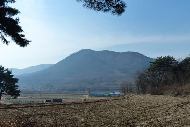 경북 경주시에 있는 법흥왕릉 앞 안산. 우측 백호 자락을 압도하고 있어 남자가 위축되는 여인천하의 풍수물형이다.  필자 제공