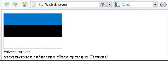 에스토니아 해커들이 자국의 홈페이지들이 공격 당하자 그 대응의 일환으로 러시아의 웹사이트(www.web-dozor.ru)에 “에스토니아인이 되어 자랑스럽다!”와 “에스토니아 영원하다!” 등의 문구를 써넣었다.  필자 제공