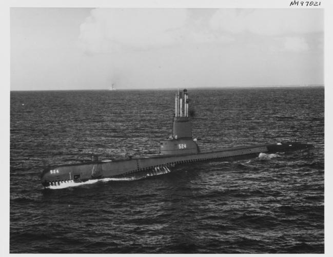 1950년대 중반 하와이 진주만의 USS Pickerel(SS 524) 함. 사진 = Naval History and Heritage Command
