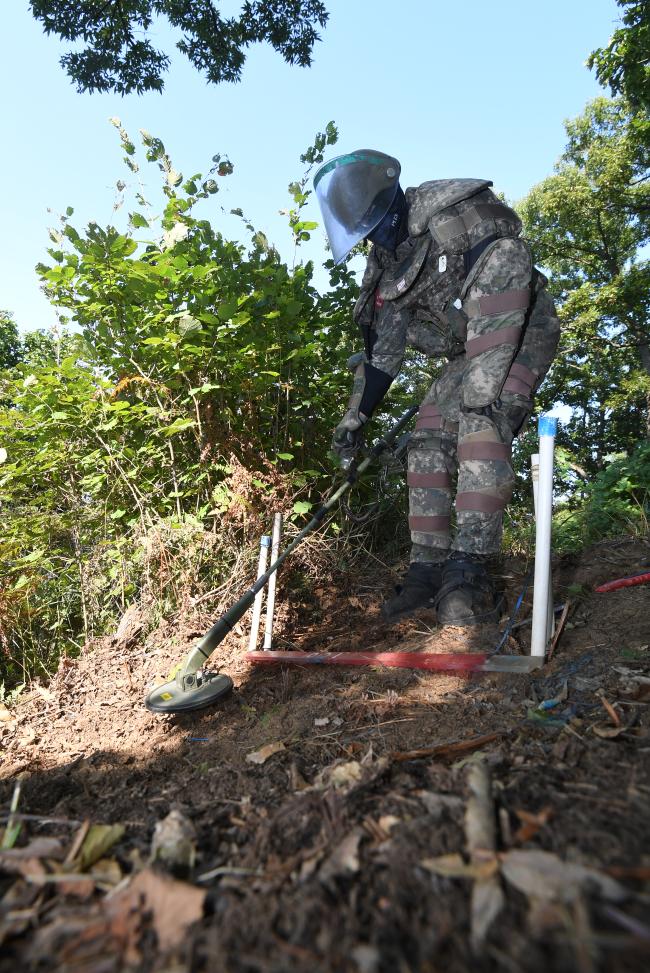 20㎏이 넘는 지뢰보호의를 착용한 육군5보병사단 황소대대 장병들이 지뢰제거를 하고 있다. 작전에 투입된 지 얼마 지나지 않아 장병들의 얼굴에는 땀이 비 오듯 흘렀다.