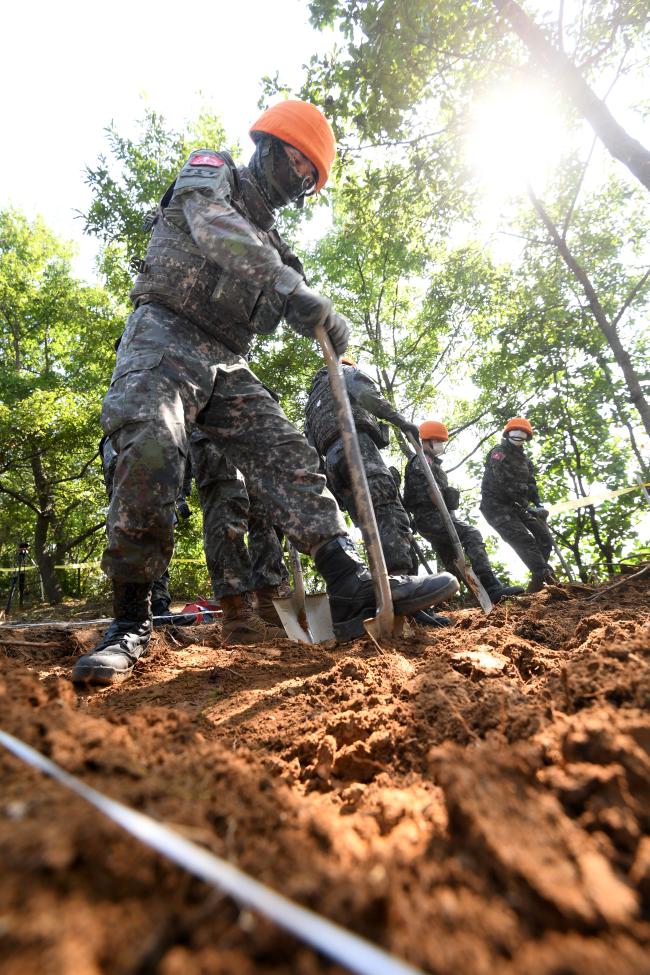 육군5보병사단 철권대대 장병들이 백마고지 유해발굴 현장에서 기초유해발굴을 하고 있다. 이들은 지뢰제거가 끝난 곳에서 선배 전우들의 흔적을 찾는 데 구슬땀을 흘리고 있다.