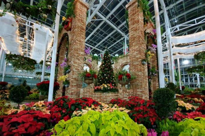 국립세종수목원은 내년 2월 27일까지 ‘2021 국립세종수목원 지역상생 겨울꽃 전시’를 개최한다. 사진은 작년 크리스마스 시즌 온실 전경. 
 사진=국립세종수목원