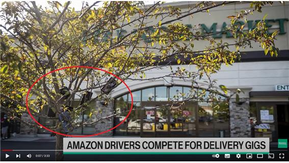 아마존 스마트폰 트리?  아마존 식료품몰 ‘홀푸드마켓’ 앞 나뭇가지에 주렁주렁 달린 스마트폰들(빨간색 원 안). 아마존은 가까운 순서로 배송 가능 여부를 묻기에 플렉스 노동자들은 일감을 먼저 따내려고 스마트폰을 두 대 이상 연동해 놓고 한 대를 매장이나 창고 가까이 둔다.  사진=블룸버그테크놀로지 유튜브 화면 캡처 