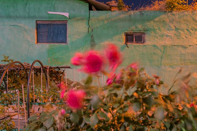 구도하 작가의 개인전 ‘버려진 파라다이스’는 오는 23일까지 대구시 남구 아트스페이스 루모스에서 열린다. 사진은 구도하 작가 작품. 

 사진= 아트스페이스 루모스