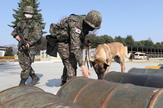 군견이 폭발물 잔존 여부를 확인하고 있다.