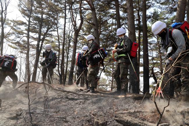 육군12보병사단 쌍호여단 장병들이 지난 11일 강원도 인제군 월학리 일대에서 잔불 진화에 열중하고 있다.  부대 제공