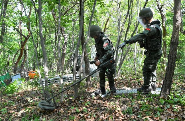 해병대 군수단 상륙지원대대 지뢰제거작전 TF 장병들이 대청도 삼각산 일대에서 지뢰를 탐지하고 있다. 
 사진 제공=김정훈 상사