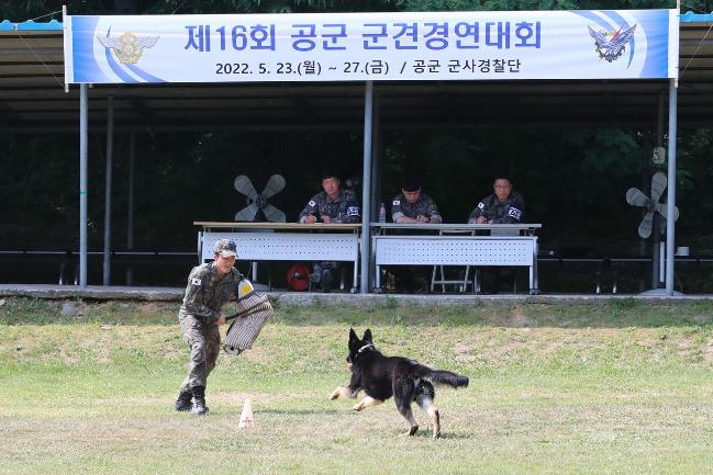 제16회 공군 군견경연대회에 참가한 군견과 운용요원이 공격능력을 선보이고 있다.  공군 제공