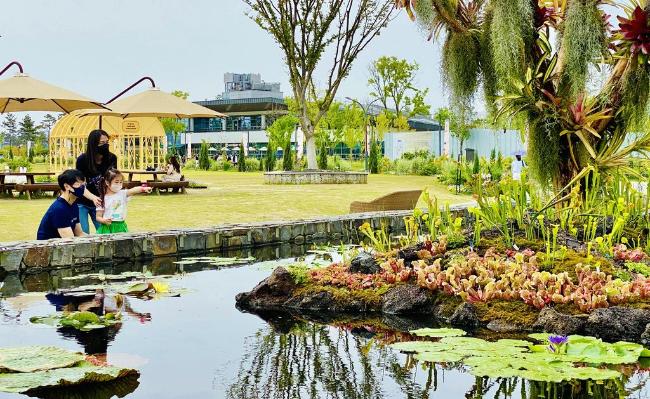 국립세종수목원이 오는 10월 30일까지 수목원 내 수련지에서 생물다양성 증진 및 보전을 위한 수생식물 특별전 ‘생명을 잇다’를 개최한다. 사진은 국립세종수목원 수련지에 설치된 식충식물 분경을 감상하는 방문객들.  사진=국립세종수목원