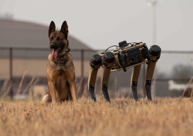지금까지 군견이 담당했던 다양한 임무들은 조만간 사족보행 드론봇 즉 로봇 전투군견으로 대체될 전망이다. 사진=미 국방부