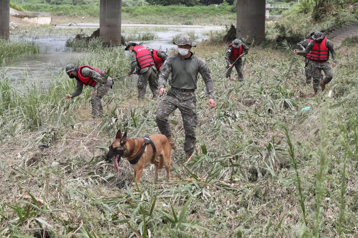 15일 충남 부여군 하천에서 육군32보병사단 장병들이 군견과 함께 실종자 수색을 하고 있다.  조종원 기자  