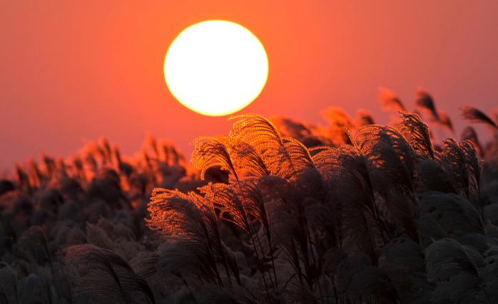 서울 하늘공원.