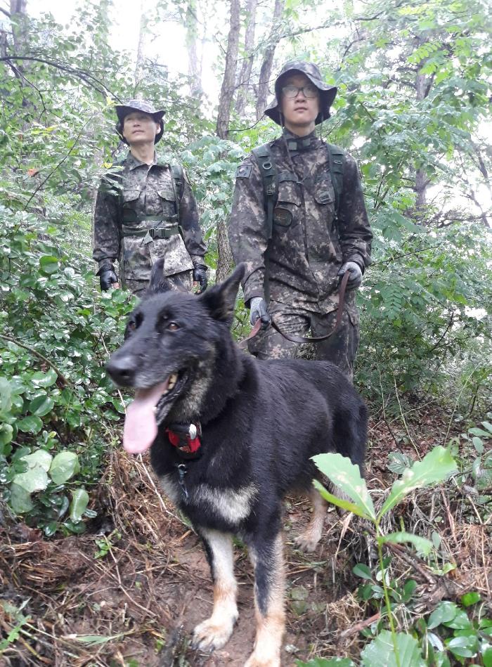 육군32보병사단 군견 ‘달관’이와 기동대대 장병들이 지난 2019년 7월 실종된 조은누리 양을 수색하는 모습. 육군 제공