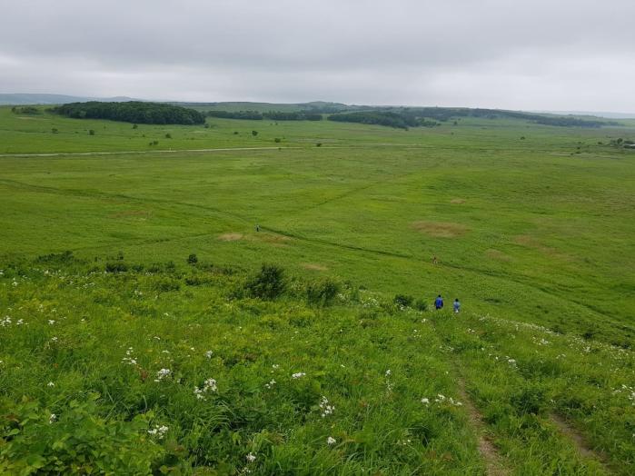 초원과 구릉이 많은 광활한 연해주 전경.