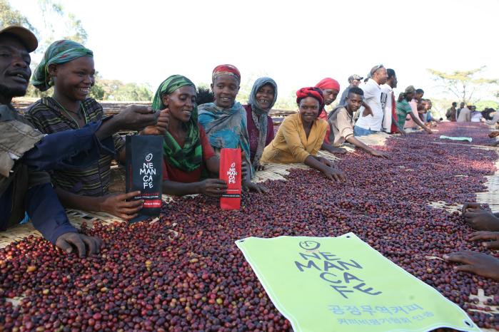 에티오피아 구지의 함벨라 지역에 있는 하루(Haru) 커피농장에서 커피 재배자들이 잘 익은 커피 열매를 가려내는 작업을 하고 있다. 커피비평가협회는 이곳 농장을 방문해 산지와 한국 소규모 카페를 연결해주는 캠페인 ‘원맨카페(One Man CAFE)’를 진행하고 있다. 필자 제공