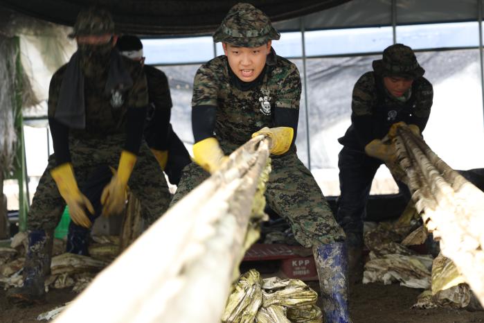 있는 힘껏 육군특수전사령부 황금박쥐부대 장병이 전북 익산시 망성면서 폐기물을 수거하고 있다. 부대 제공