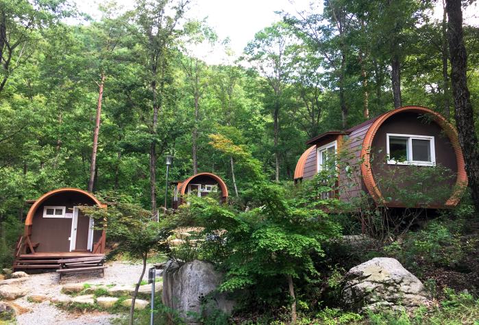 경북 문경 대야산 자연휴양림. 사진=산림청