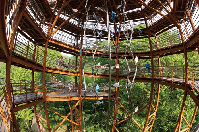 대전 장태산 자연휴양림. 필자 제공