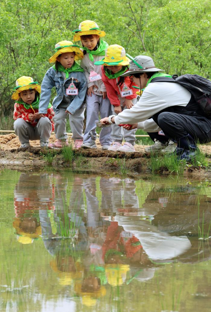 지구의 날인 22일 광주 북구 평두메습지에서 어린이 습지 탐사대에 참가한 해영유치원 아이들이 개구리와 올챙이 등 습지생물을 관찰하고 있다. 연합뉴스