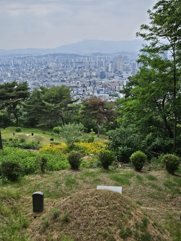 망우리 묘역 멀리 망우동이 보인다. 필자 제공