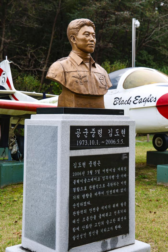 울산대공원에 있는 고 김도현 공군중령을 기리는 흉상.