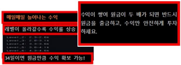 웹사이트 등을 통한 불법 가상자산사업자들의 광고 이미지. 출처=금융감독원