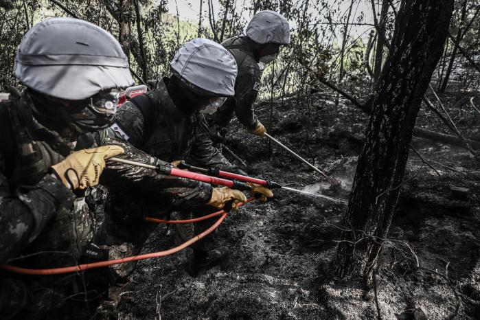 육군50보병사단 장병들이 29일 대구 북구 함지산에서 잔불제거작전을 전개하고 있다. 부대 제공