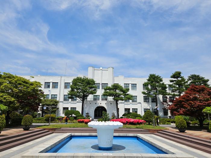 정독도서관 회화나무들이 가리고 섰다.