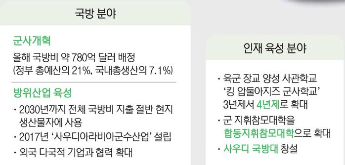 사우디의 자주국방 역량 강화 노력