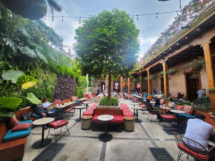 덩굴과 벽화가 인상적인 스타벅스.