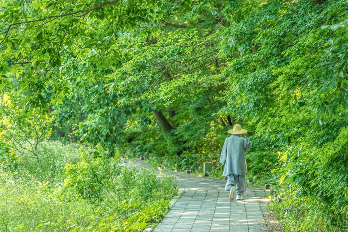 선운사