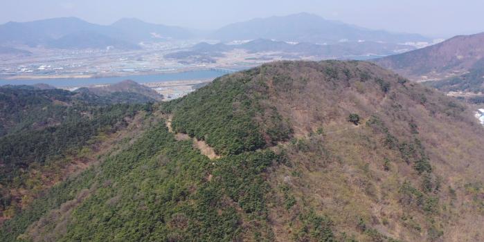 1950년 6·25전쟁 초기 다부동전투가 벌어졌던 328고지. 뒤편으로 낙동강이 보인다.