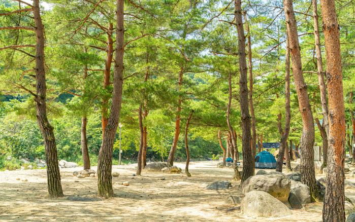 삼산장천계곡.