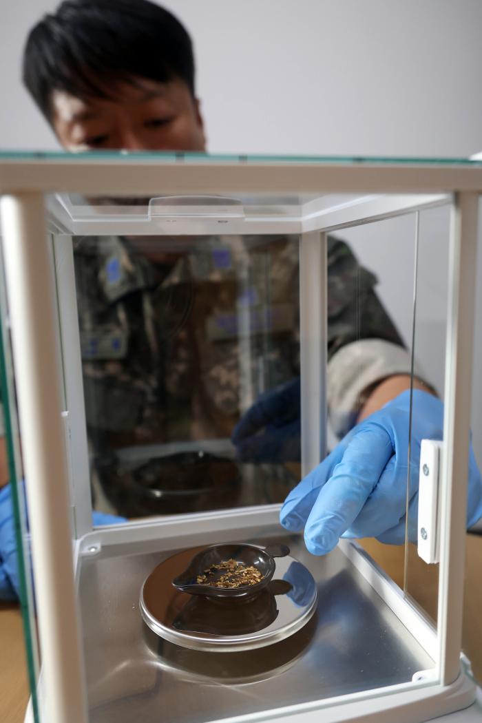 마약범죄수사센터 계룡 본원 이재혁 검찰수사관이 지난 3일 개소한 진주 분원에서 전자현미경으로 대마와 비슷한 형태의 대조군을 확인하고 있다.